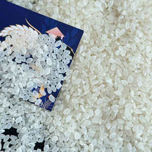 Riz japonica premium / Riz à grains courts et ronds DS1 du Vietnam - WA84356084695 - Product Image 2