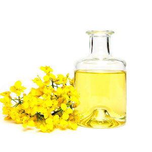 Huile de colza raffinée / Huile de cuisson de canola en vrac, qualité supérieure, biologique, prix attractif - Product Image 5