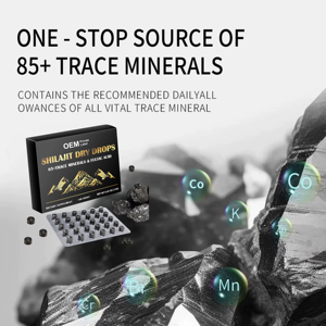 Tabletas de Shilajit del Himalaya Premium OEM de 200 mg para Mejorar la Fuerza, la Inmunidad y la Vitalidad, Potenciador de Energía Ayurvédico para Uso Diario - Product Image 2