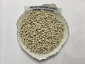 พริกไทยขาวเวียดนามขายส่งสำหรับส่งออก คุณภาพดี ราคาดีที่สุด - Product Image 1
