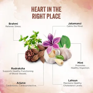 Cradle of Life From Lap of Nature, Jugo para la Salud del Corazón Dabur, Enriquecido con una Mezcla Única de 10 Hierbas Ayurvédicas - Product Image 6