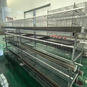 Sistema di Gabbie per Polli a 3/4 Livelli, 96/160 Posti, Gabbia Automatica per Allevamento, Resistente e di Alta Qualità - Product Image 3