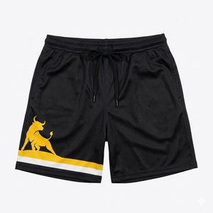 Shorts de sport personnalisés pour hommes, séchage rapide, respirants, pour la course, la gym, l'entraînement, taille élastique, légers - Product Image 1