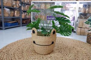 Panier en jacinthe d'eau tressé en forme de grenouille, fait main, panier de rangement, vente en gros, écologique, fabriqué au Vietnam - Product Image 5