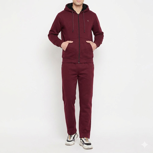 Ensemble de survêtement à capuche pour homme, couleur marron, sweat-shirt à fermeture éclair intégrale avec poches latérales, tenue décontractée en coton de couleur unie, deux pièces, vêtements d'automne - Product Image 1
