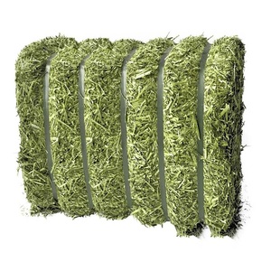 Heno de Alfalfa de Primera Calidad en Pacas para Caballos, Ganado y Cerdos, Listo para Envío, Mejor Precio/Cantidad al por Mayor, Precio Económico - Product Image 2