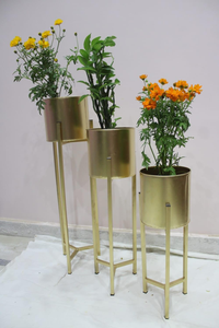 Decent Home Decor Iron Metal <b>Planter</b> for Home Office Living Room Bedroom Display Plant <b>Stand</b> Tall <b>Indoor</b> Plant <b>Stand</b> - Product Image 3