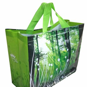 Bolsa de Compras Promocional Resistente de Polipropileno Tejido, en Forma de Barco, Impresa Personalizada para Marketing de Marca y Distribución Minorista - Product Image 2