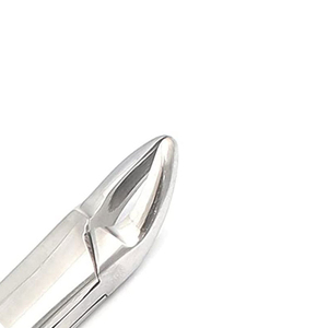 Forceps d'extraction dentaire 101, forceps orthodontiques, forceps chirurgicaux en acier inoxydable dentelé, instruments dentaires - Product Image 1
