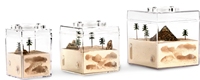 Fourmilière Empire Ants Ant Nest Pro moderne à boutons-pression, légère, transparente, écologique, en acrylique, à couches tridimensionnelles, sans assemblage