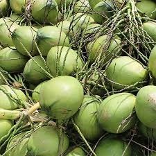 Noix de coco jeune congelée de haute qualité,/Grade premium/Fournisseur au Vietnam Mme Hana - Product Image 2