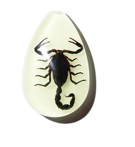 Black Scorpion Real Specimen Plastic Cabochon Pear Cut <b>Top</b> 46x30 mm Glow Flat Bottom for Crafts and Jewelry Making - Product Image 2