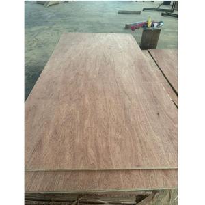 Panneaux de placage Aseanwood Vietnam en contreplaqué d'eucalyptus avec placage de face Bintangor pour portes de meubles et armoires intérieures décoratives - Product Image 2