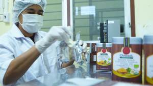 <span class=keywords><strong>Sucre</strong></span> <span class=keywords><strong>de</strong></span> fleur <span class=keywords><strong>de</strong></span> <span class=keywords><strong>coco</strong></span> <span class=keywords><strong>bio</strong></span> Chiwadi Sandy Gold 200g. Édulcorant granulé à faible IG, super-aliment, idéal pour les végétaliens et les personnes suivant un régime palio - Product Image 2