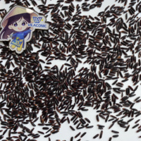 Riz noir de haute qualité, faible en calories, riche en nutriments pour un mode de vie sain. Échantillon gratuit, contactez Mme Kayla au +84 85 693 9777.