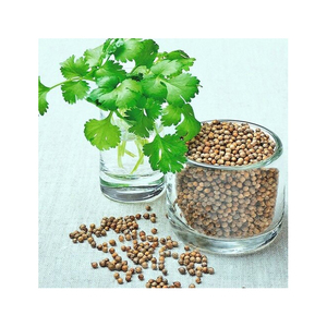 Semillas de Cilantro Orgánicas Naturales para Exportación, Alemania, Especias y Hierbas al por Mayor, Grado Alimenticio, 2 Años de Vida Útil, en Cantidad a Granel - Product Image 1
