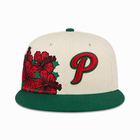 Casquettes Snapback à Visière Plate Nouvelle Génération en Gros, Personnalisables avec Broderie 3D sur le Panneau Avant, Chapeaux Hip Hop pour Adultes NE Gorras