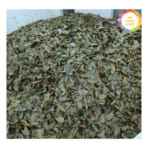 ใบเต้าเจียแห้งแบบเป็นชุด คุณภาพพรีเมียม ใบสะอาดธรรมชาติ ขนาดสม่ำเสมอ และมีแหล่งผลิตที่มั่นคงจากผู้ผลิต - Product Image 6