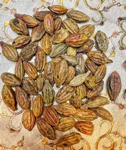 ยาระบายธรรมชาติไมโรบาลาน (เยลโลว์ เทอร์มินาลีอา เชบูลา) - Product Image 5