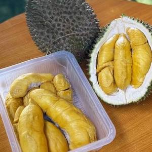 Durian Congelado de Calidad de Exportación, Fruta Congelada IQF Vietnamita Premium, Fabricante - Product Image 6