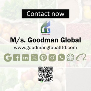 Toile de jute de 63 pouces de large, 7 oz, rouleau de 100 m, 100 % écologique, fabricant de tissu de jute, vente en gros Goodman Global Bangladesh - Product Image 6