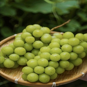Uvas Verdes Sin Semillas de Vietnam |   Uvas Frescas y Crujientes para Venta al por Mayor y Exportación - Product Image 2