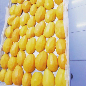 โรงงานขายส่งมะม่วงอบแห้งแบบชิ้น รสหวานธรรมชาติ ผลไม้เมืองร้อน ขนมขบเคี้ยว รับผลิตแบรนด์ส่วนตัว - Product Image 6