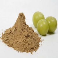 Extrait d'Amla 100% naturel et végétal en poudre, extrait de fruit et de fleur d'emblica, en vrac, provenant d'Inde