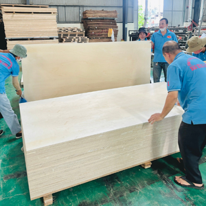 Meilleur prix Vietnam 18mm 4x8 Modèle MDF Meubles en contreplaqué robuste en peuplier, réutilisable 6-8 fois, norme E0 - Product Image 4