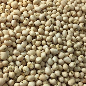 Guisantes Negros de Exportación Premium con Alto Contenido Proteico y Cosecha Natural de Granja Cuidadosamente Seleccionada para Compradores de Productos Alimenticios - Product Image 1