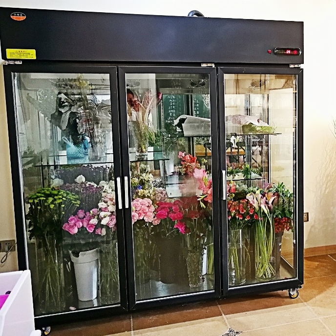 Industrial Flower Farm Chiller for Sunflower Storage, Heavy-Duty Direct Cooling & Anti-Rust Steel Frame Design