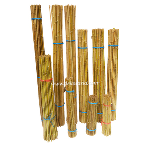 Estacas de Soporte para Plantas de Bambú Cendani Natural, Ecológicas, Duraderas, Hermosas, Secas y Rectas (Tamaño Personalizado) - Product Image 2