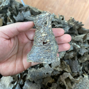 Copeaux d'agarwood d'Oud du Vietnam, bois parfumé naturel de qualité supérieure, matière première d'encens à haute teneur en résine - Product Image 5