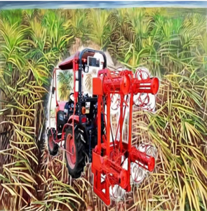 Décortiqueuse de feuilles numérique Sabin 195 kg, boîte de vitesses moteur 14-30 CV, capacité 6-12 acres, pour canne à sucre - Product Image 2