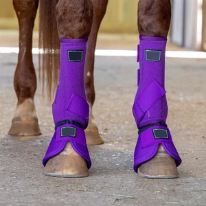 Vendas de compresión ajustables para patas de caballo, botas medicinales duraderas de terapia y soporte para caballos - Product Image 5