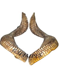 Artesanías naturales pulidas del fabricante indio, existencias de cuerno de carnero a un precio razonable para decoración religiosa del hogar o amante de los animales - Product Image 2