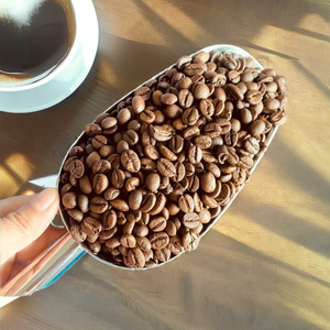 กาแฟคั่วบด DALAKON ขายส่ง คั่วกลาง-เข้ม ผสมอาราบิก้าพรีเมียม รสชาติผลไม้เปรี้ยว คาเฟอีนสูง - Product Image 6