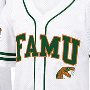 Uniforme de béisbol de la Universidad Florida A&M, camiseta de malla del equipo HBCU, logotipo personalizado, servicios OEM y ODM disponibles - Product Image 2