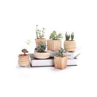 Pot de plante en bois aux lignes épurées et finition naturelle, idéal pour les intérieurs minimalistes, rustiques et Japandi