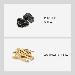 Cápsulas de Shilajit Swarna de Patanjali, Extracto Herbal para Potencia, Resistencia y Fuerza - Product Image 5