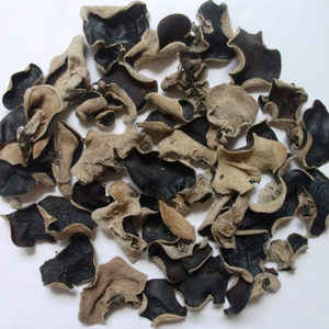 Hongo Negro Seco (Fungus Wood Ear) Procesado Cuidadosamente, con Grosor Uniforme, Color Oscuro y Buena Tasa de Rehidratación - Product Image 5
