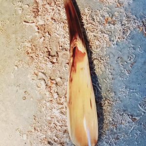 Buffalo Horn <b>Shoe</b> Horn Handmade Durable Long Handle Lightweight Eco-Friendly Customizable Comfortable Footwear <b>Accessory</b> for - Product Image 1