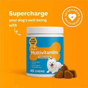 OEM ODM 10-en-1 Multivitamines à croquer pour chiens et chats – Soutien immunitaire, articulations, peau, pelage et digestion – Friandises molles – Vente en gros - Product Image 2