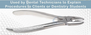 Pinzas de Extracción Dental Plateadas con Empuñadura Manual Moleteada, Instrumento Quirúrgico Clase I, Certificado CE, Embalaje Personalizado - Product Image 5