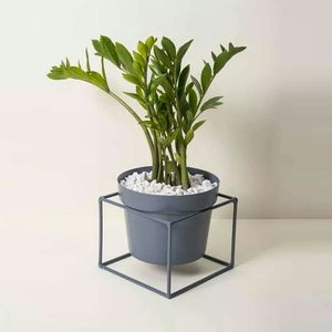 Soporte de hierro para colgar macetas en interiores, perfecto para apartamentos, eleva las plantas con un diseño vertical que ahorra espacio. - Product Image 4