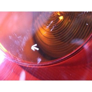 Luz Trasera Derecha Usada para Mini Hatch 7297414 - Product Image 6