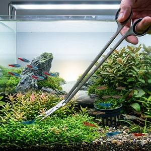 Ciseaux longs courbés de 10 pouces en acier inoxydable pour aquascaping, fourniture OEM - Product Image 1