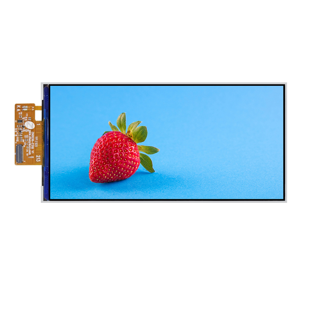 2:1 Aspect Ratio 6 inch 720x1480 LCD Module 31P 4LANE MIPI IPS Display for Phone POS Handheld Device