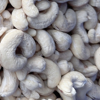 Hete Aanbieding Cashewnoten WW180, WW240, WW320, LP, WS Groothandel Rauwe Cashewnoten Cashewnoten Fabrieksprijs