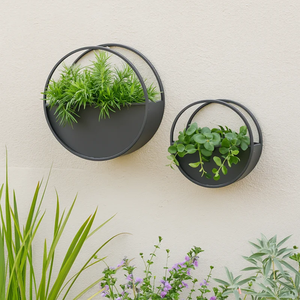 Jardinière murale moderne en métal, décoration écologique pour la maison, support mural pour plantes vertes d'intérieur - Product Image 4